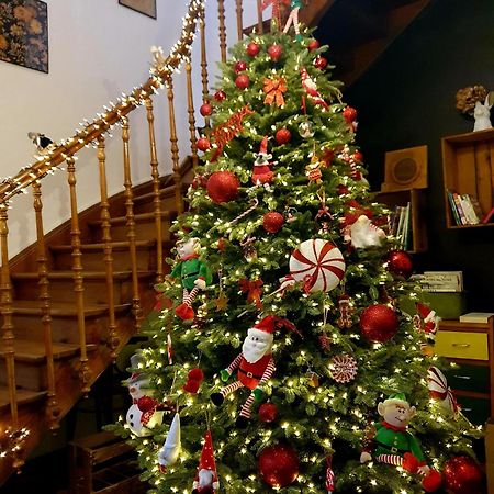 Sojolidays - Appartements D'Hotes Sur La Route Des Vins D'Alsace Rorschwihr Екстериор снимка