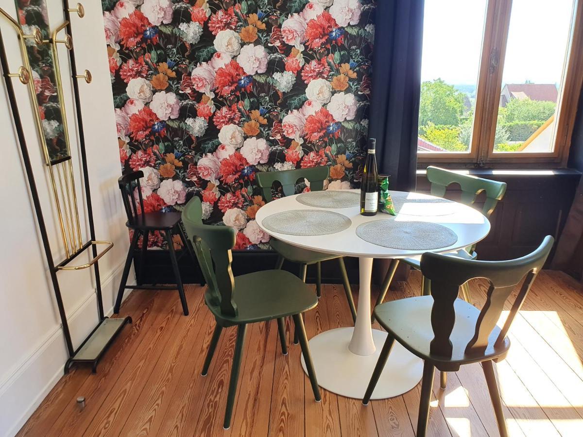 Sojolidays - Appartements D'Hotes Sur La Route Des Vins D'Alsace Rorschwihr Екстериор снимка