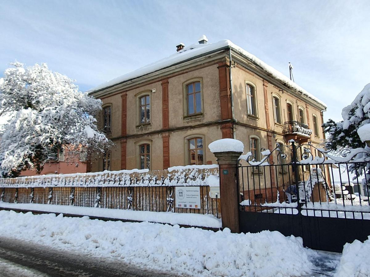 Sojolidays - Appartements D'Hotes Sur La Route Des Vins D'Alsace Rorschwihr Екстериор снимка